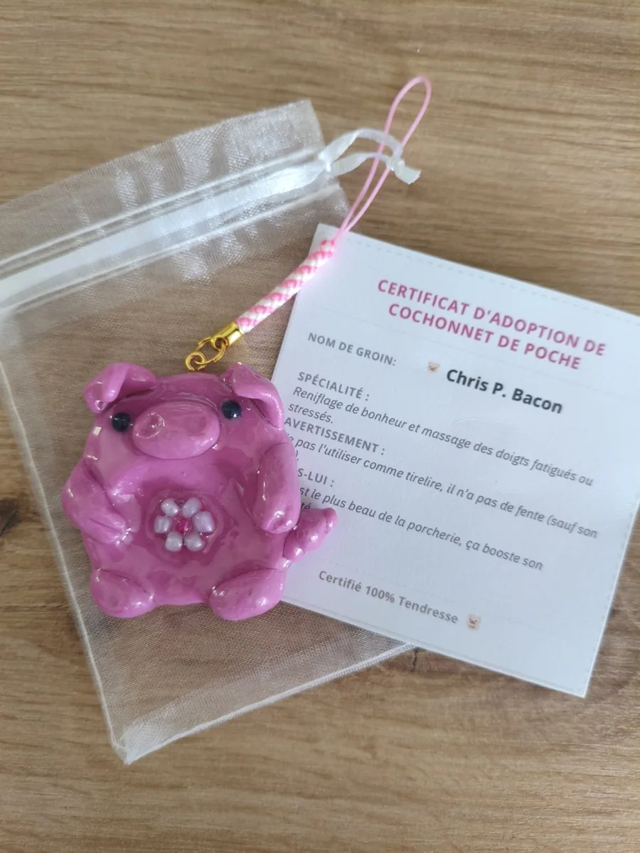 Worry stone, chris P bacon – vue 2 – Rose – Pâte polymère, acier inoxydable ,paracorde
